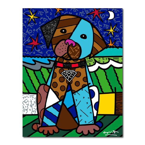 MIDNIGHT DOG