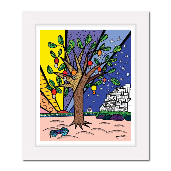 GROWING UP COLLECTION (FAVELAS)