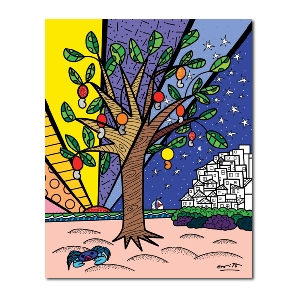 GROWING UP COLLECTION (FAVELAS)